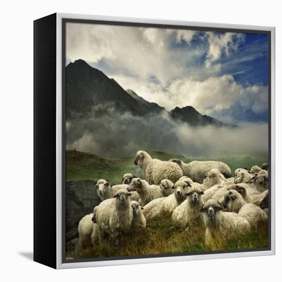 The Silence of the Lambs-Istvan Kadar-Framed Premier Image Canvas