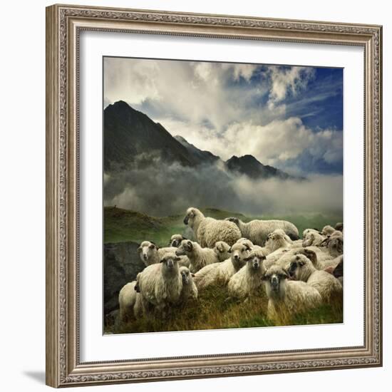 The Silence of the Lambs-Istvan Kadar-Framed Photographic Print