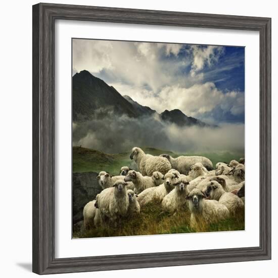 The Silence of the Lambs-Istvan Kadar-Framed Photographic Print