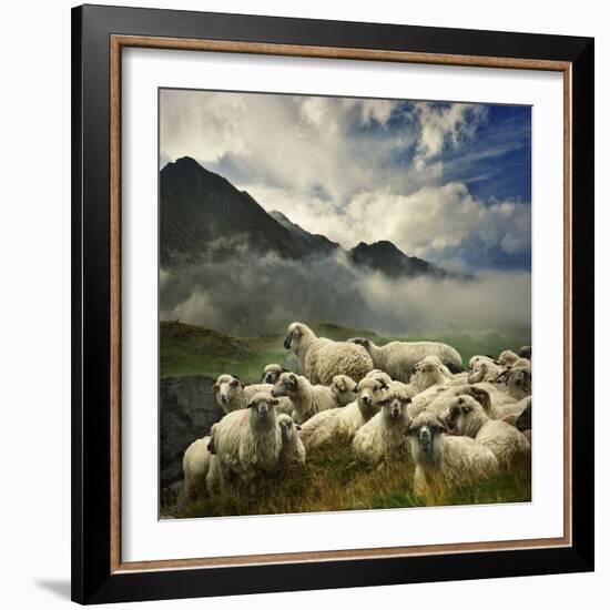 The Silence of the Lambs-Istvan Kadar-Framed Photographic Print