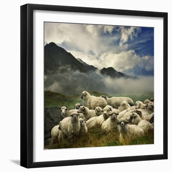 The Silence of the Lambs-Istvan Kadar-Framed Photographic Print