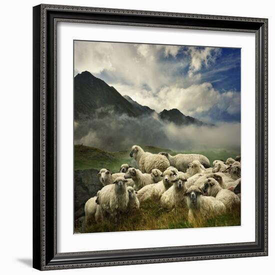 The Silence of the Lambs-Istvan Kadar-Framed Photographic Print