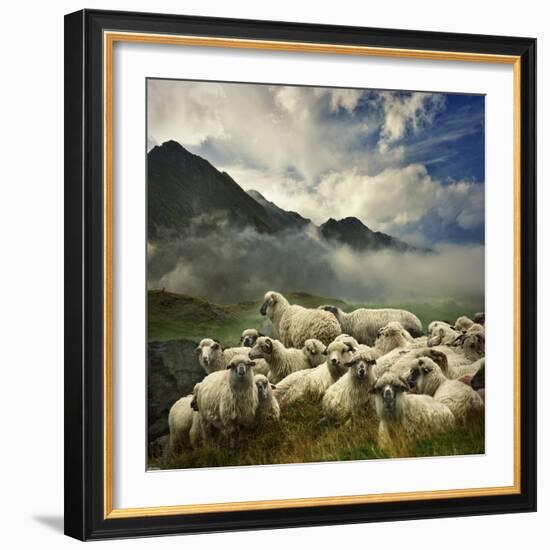 The Silence of the Lambs-Istvan Kadar-Framed Photographic Print