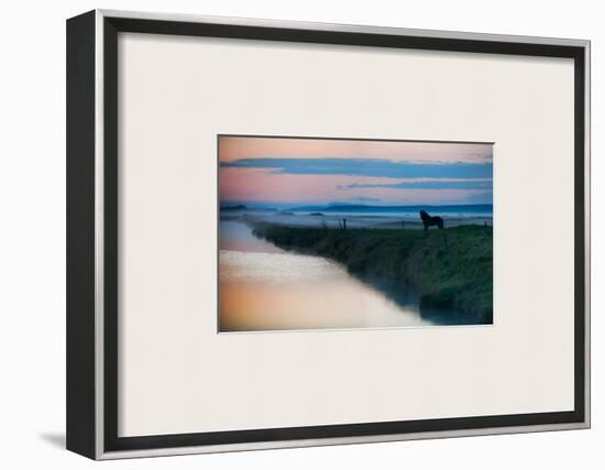 The Silent Horse in the Fog-Trey Ratcliff-Framed Photographic Print