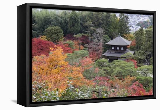 The Silver Pavilion and Gardens in Autumn-Stuart Black-Framed Premier Image Canvas