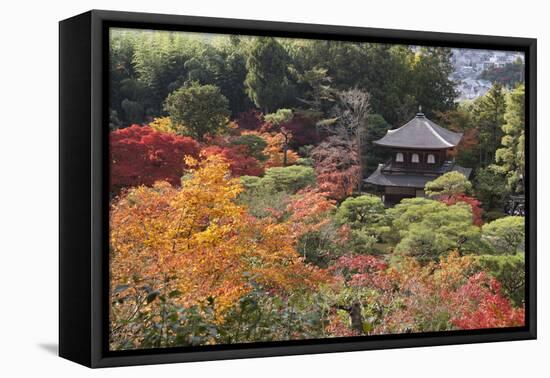 The Silver Pavilion and Gardens in Autumn-Stuart Black-Framed Premier Image Canvas