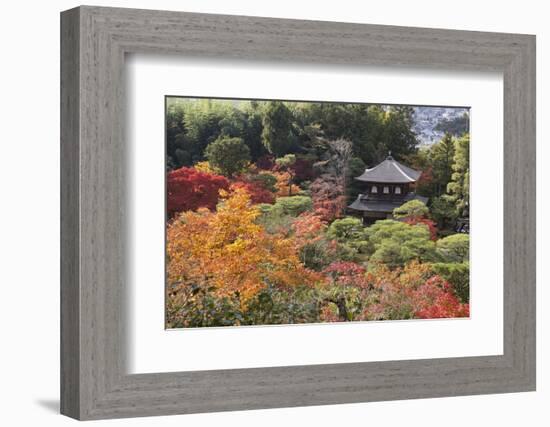 The Silver Pavilion and Gardens in Autumn-Stuart Black-Framed Photographic Print