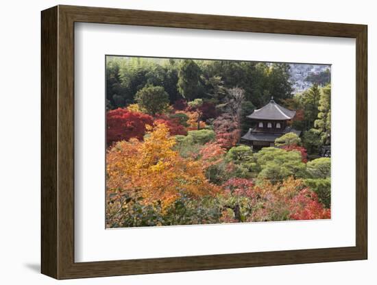 The Silver Pavilion and Gardens in Autumn-Stuart Black-Framed Photographic Print