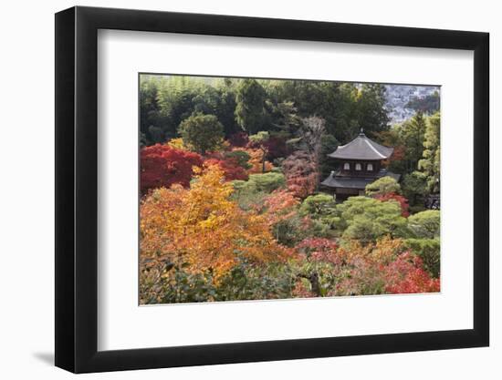 The Silver Pavilion and Gardens in Autumn-Stuart Black-Framed Photographic Print