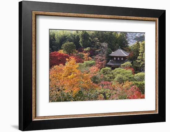 The Silver Pavilion and Gardens in Autumn-Stuart Black-Framed Photographic Print