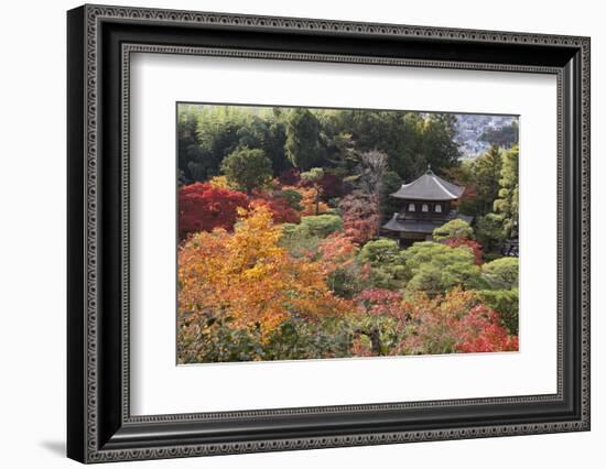 The Silver Pavilion and Gardens in Autumn-Stuart Black-Framed Photographic Print