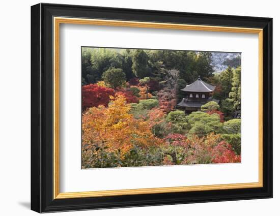 The Silver Pavilion and Gardens in Autumn-Stuart Black-Framed Photographic Print