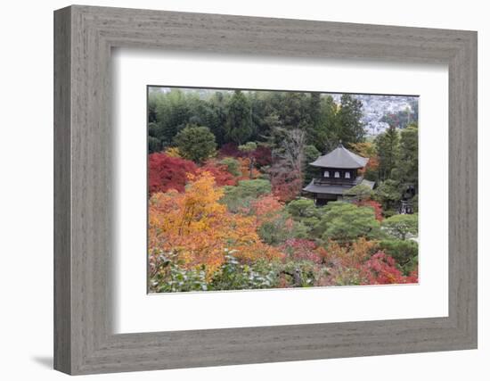 The Silver Pavilion and Gardens in Autumn-Stuart Black-Framed Photographic Print