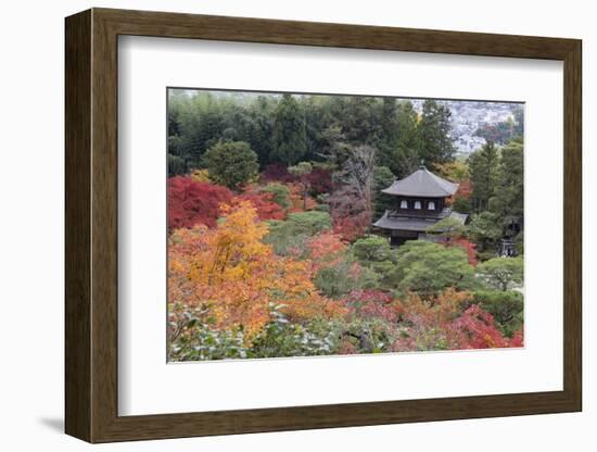 The Silver Pavilion and Gardens in Autumn-Stuart Black-Framed Photographic Print