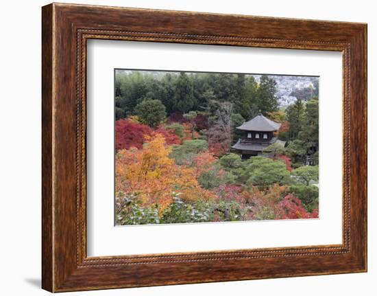 The Silver Pavilion and Gardens in Autumn-Stuart Black-Framed Photographic Print