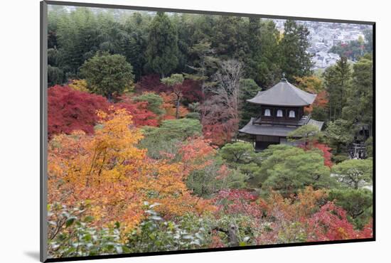 The Silver Pavilion and Gardens in Autumn-Stuart Black-Mounted Photographic Print