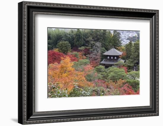 The Silver Pavilion and Gardens in Autumn-Stuart Black-Framed Photographic Print