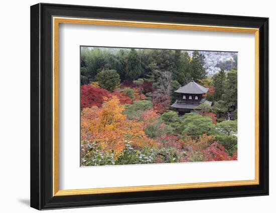 The Silver Pavilion and Gardens in Autumn-Stuart Black-Framed Photographic Print