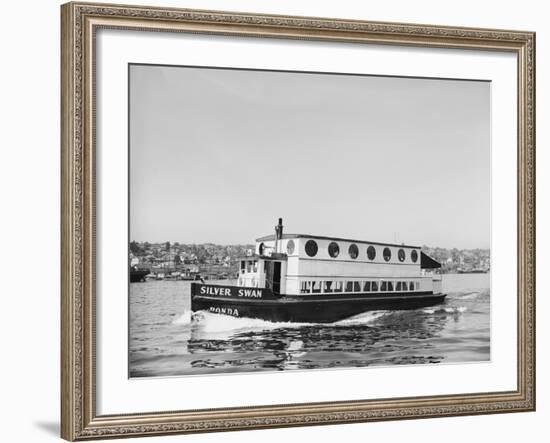The Silver Swan on Lake Union-Ray Krantz-Framed Photographic Print