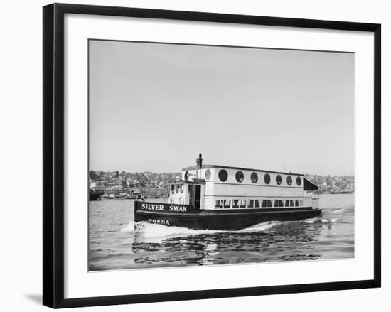 The Silver Swan on Lake Union-Ray Krantz-Framed Photographic Print