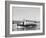 The Silver Swan on Lake Union-Ray Krantz-Framed Photographic Print