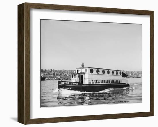 The Silver Swan on Lake Union-Ray Krantz-Framed Photographic Print