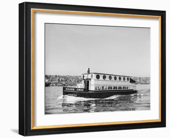 The Silver Swan on Lake Union-Ray Krantz-Framed Photographic Print