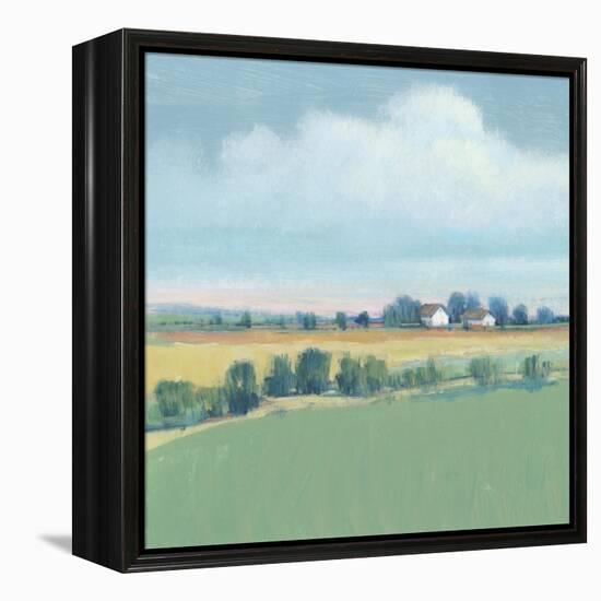 The Simple Life I-Tim OToole-Framed Stretched Canvas