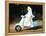 The Singing Nun, Debbie Reynolds, 1966-null-Framed Stretched Canvas