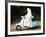 The Singing Nun, Debbie Reynolds, 1966-null-Framed Photo