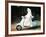 The Singing Nun, Debbie Reynolds, 1966-null-Framed Photo