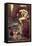 The Siren-John William Waterhouse-Framed Premier Image Canvas