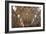 The Sistine Chapel by Michelangelo in the Vatican Museums, Rome, Lazio, Italy, Europe-Carlo-Framed Photographic Print