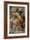 The Sistine Chapel; Ceiling Frescos after Restoration, the Libyan Sibyl-Michelangelo Buonarroti-Framed Giclee Print