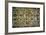 The Sistine Chapel; Ceiling Frescos after Restoration-Michelangelo Buonarroti-Framed Giclee Print