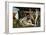 The Sistine Chapel; Ceiling Frescos after Restoration-Michelangelo Buonarroti-Framed Giclee Print