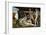 The Sistine Chapel; Ceiling Frescos after Restoration-Michelangelo Buonarroti-Framed Giclee Print