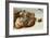 The Sistine Chapel; Ceiling Frescos after Restoration-Michelangelo Buonarroti-Framed Giclee Print