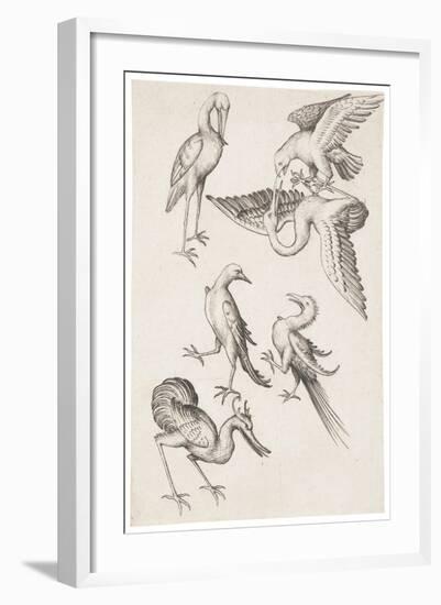 The Six of Birds, C.1463-null-Framed Giclee Print