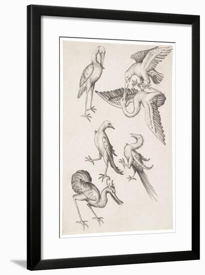 The Six of Birds, C.1463-null-Framed Giclee Print