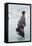 The Skater-Giuseppe De Nittis-Framed Premier Image Canvas