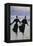 The Skaters-Jean Béraud-Framed Premier Image Canvas