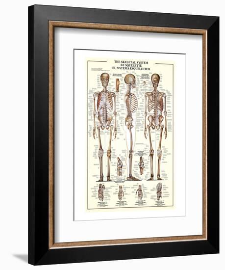 The Skeletal System-null-Framed Art Print