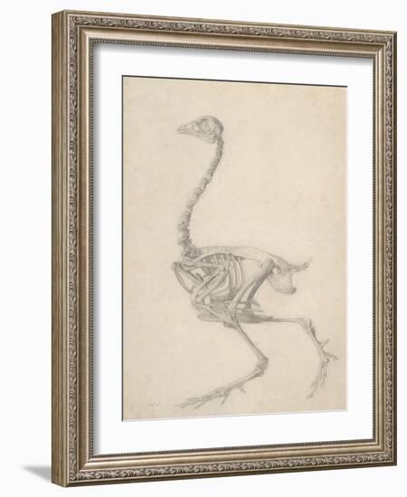 The Skeleton of a Fowl-George Stubbs-Framed Giclee Print