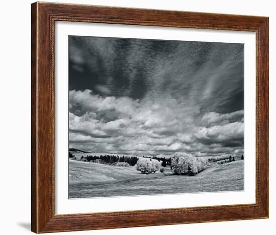 The Skies Above-Andrew Geiger-Framed Giclee Print