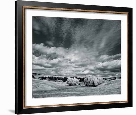 The Skies Above-Andrew Geiger-Framed Giclee Print