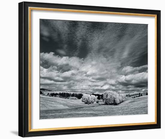 The Skies Above-Andrew Geiger-Framed Giclee Print