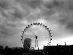 Premium Photographic Print
