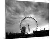 Photographic Print