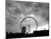 Photographic Print